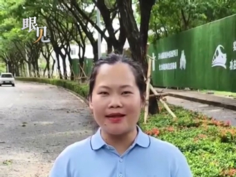 三亚环卫修剪过长树枝：应对台风“蝴蝶”影响