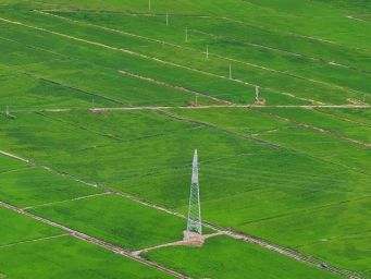 吉林白城：盐碱地上育新绿